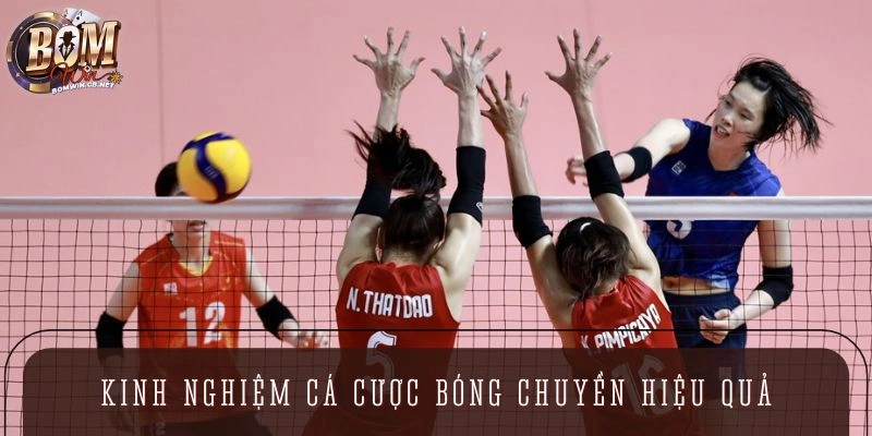 Kinh nghiệm cá cược bóng chuyền hiệu quả