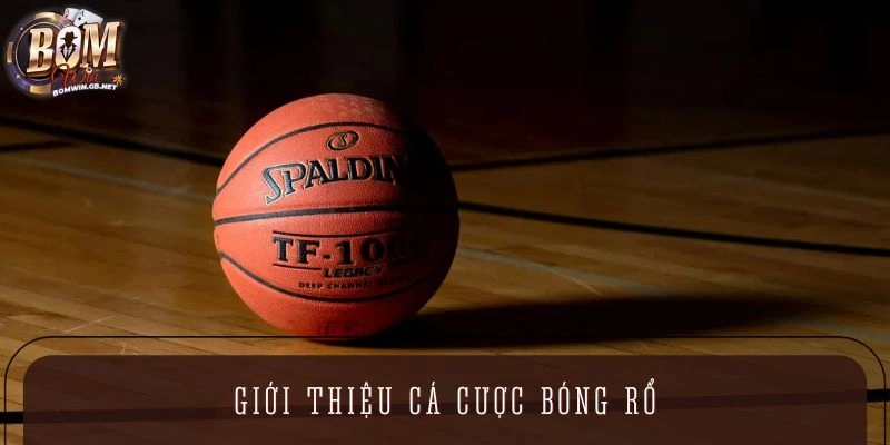 Khái quát về việc dự đoán bóng rổ