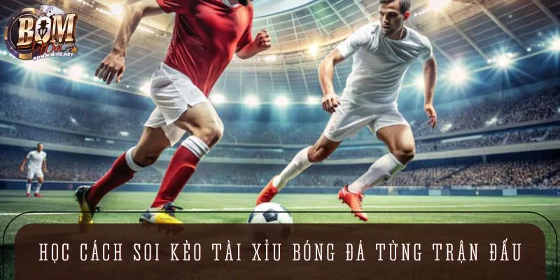 Học cách soi kèo Tài Xỉu bóng đá chi tiết từng trận đấu