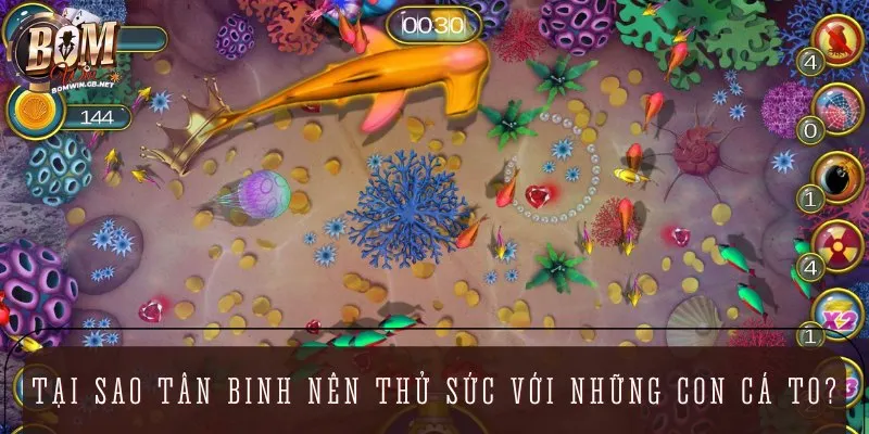 Do tân thủ cần nắm vững và học hỏi các mẹo bắn cá to